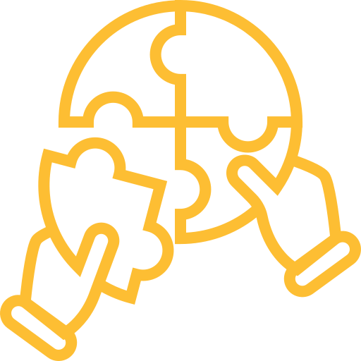 Custom Solution Icon